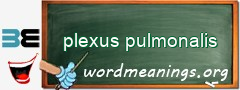 WordMeaning blackboard for plexus pulmonalis